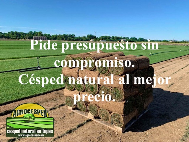 Césped natural Agrocesped.